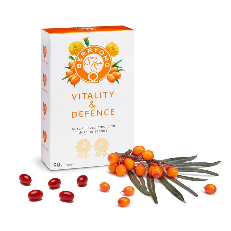A box of Berryong Vitality & Defence capsules is shown with capsules, sea buckthorn berries, and leaves arranged in front of the box. The rectangular box is upright, features a matte finish, and shows product name in bold sans-serif font. Text on the package reads “berry oil supplement for seniors” and notes support for vitality and defence. Box, capsules, berries, and leaves rest on a plain white background; no people or hands are present. Shot is well lit with direct front angle.