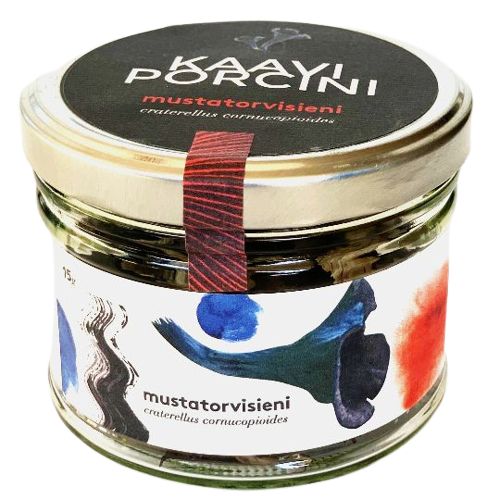 A glass jar of dried mushrooms labeled Kayi Porcini, featuring abstract watercolor art on the front and a black lid. The clear cylindrical glass container shows irregularly shaped pieces inside. The matte-finish label has bold sans-serif text and colorful painted shapes. Background is white, no people or hands visible, straight-on product shot.
