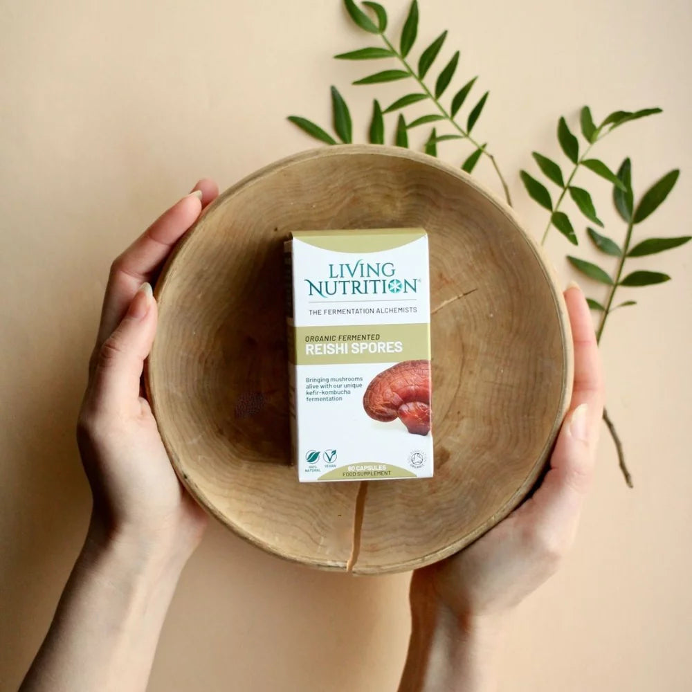 Living Nutrition Fermentoitu Reishi; kädet pitelevät pyöreää, mattapintaista puukulhoa, jossa suorakaiteen muotoinen rasia tekstillä ”Living Nutrition Organic Fermented Reishi Spores” selkeällä groteskikirjasimella; rasia valkoinen ja oranssi, näyttää tuotenimen ja brändin; kaksi tuoretta vihreää lehteä lepää kulhon vieressä vaalealla, beigellä alustalla; kuva ylhäältä, ei muita esineitä näkyvissä.