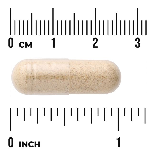 Beige kapseli on aseteltu senttimetri- ja tuumamitallisen viivaimen väliin, mittana noin 2 senttimetriä eli 0,75 tuumaa. Kapselin pinta on sileä ja matta, muoto pitkulainen ja lieriömäinen pyöristetyin päin. Kapselissa ei ole näkyvää etikettitekstiä. Tausta on yksivärinen valkoinen, kuvattuna ylhäältä ilman pakkausta, käsiä tai ihmisiä.