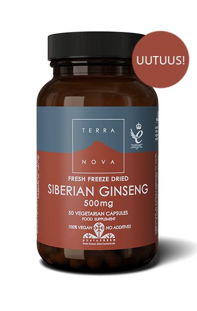 A brown bottle labeled TERRANOVA Fresh Freeze Dried Siberian Ginseng 500mg with 50 vegetarian capsules. The bottle has a matte finish and a cylindrical shape with a screw cap. Label uses bold, sans-serif typography and includes a red tag with “UUTUUS!” in Finnish. Product sits against a plain, light background in an upright front-facing shot. No people or hands are present.