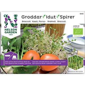 Nelson Garden Idut Luomu Parsakaali; pussi Nelson Gardenin luomuparsakaalinsiemeniä ituihin, kuva tuoreista vihreistä idusta ja kahdesta tomaatista valkoisella lautasella; pakkaus suorakulmainen kiiltäväpinnalla; teksti useilla kielillä groteskifontein, luomusertifiointimerkki etiketissä; ei ihmisiä tai käsiä; neutraali tausta, lähikuva tuotteesta.