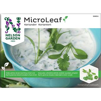 Nelson Micro Leaf Korianteri; pussi Nelson Gardenin MicroLeaf-korianterinsiemeniä kiiltäväpinnalla, suorakulmainen ja pääosin vihreä suunnittelu; etuosassa kulho valkoista kastiketta hienonnettujen yrttien kera muutaman tuoreen korianterinlehden vierellä; useita kieliä käytetty selkeällä groteskityypillä; tausta yhtenäisen valkoinen; ei ihmisiä tai käsiä näkyvissä kuvassa.