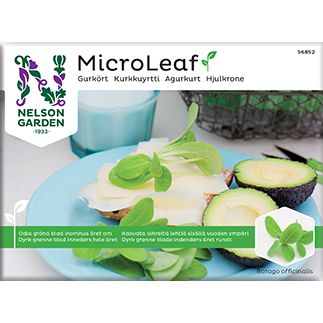 Nelson Micro Leaf Kurkkuyrtti-Nelson Garden-Hyvinvoinnin Tavaratalo