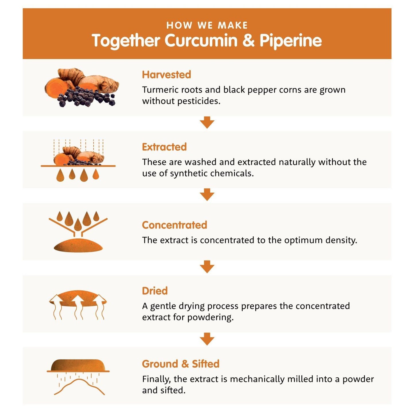 Infographic showing the production steps of curcumin and piperine: harvesting turmeric and pepper, naturally extracting active compounds, concentrating the extract, gently drying, then grinding and sifting the final powder. Flat graphic style with labeled icons for each step. Diagram uses yellow, orange, black, and green colors on a white background. No hands or people visible.