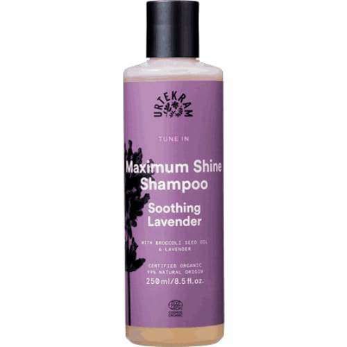 Urtekram Tune In Soothing Lavender Shampoo; Urtekram Maximum Shine Shampoo -pullo, tuoksu Soothing Lavender, koko 250 ml, violetti mattaetiketti ja musta muovikorkki; lieriömäinen pullo groteskia ja lihavoitua tekstiä, laventelikasvin siluettikuvitus sekä maininta kiiltoa lisäävästä koostumuksesta; tuote kuvattu vaalealla taustalla, ei ihmisiä.