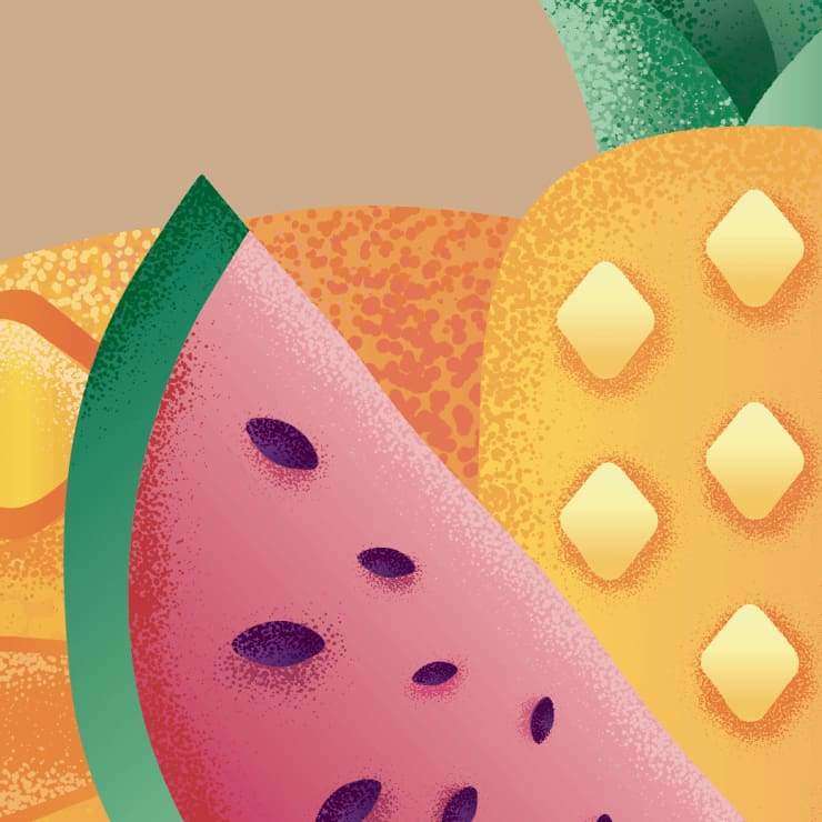 Värikäs kuvitus viipaloidusta vesimelonista ja appelsiinista tekstuurisella taustalla; kuvassa lähikuvat yhdestä vesimelonin ja yhdestä appelsiinin viipaleesta, joissa näkyy siemeniä, vesimelonin vihreä kuori sekä kirkkaan punainen ja oranssi hedelmäliha; ei pakkausta, tekstiä tai ihmisiä tässä mattapintaisessa kuvituksessa.