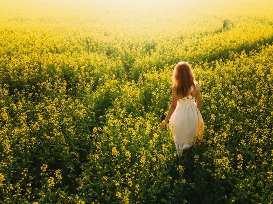 Niitty, homeopatian itsehoitokurssin kansikuva