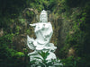 Buddha tarkoittaa valaistunutta, hereillä olevaa