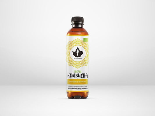 Puhdistamon inkivääri-sitruuna -kombucha virkistää!
