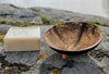 A bar of soap with a floral design rests beside a round, wooden soap dish featuring small holes and three short legs, set on a gray rock outdoors. The soap is rectangular with embossed botanical patterns, off-white in color, and unwrapped. The dish is natural wood with a smooth matte finish. There are no visible labels or text. No people or hands are present in the image.