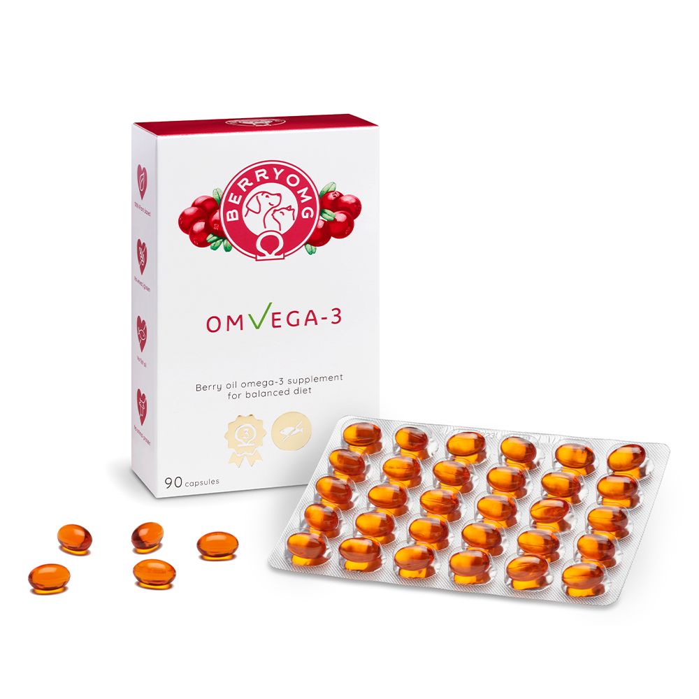 A box labeled OMVEGA-3 with berry graphics stands next to a blister pack containing 36 oval, orange softgel capsules. The product is a dietary supplement featuring omega-3. The box is rectangular with a matte surface and features bold sans-serif typography for the main label. The background is plain white. No people or hands present; shot is front-facing and well-lit.