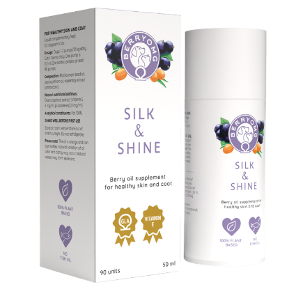 Berry OMG Silk & Shine nestemäinen: valkoinen rasia ja pullo tekstillä "BERRYOMG SILK & SHINE", marjaöljylisäravinne E-vitamiinilla ja kasviperäisillä ainesosilla ihon ja turkin hyvinvoinnin tukemiseksi; pakkaus on mattapintainen, pystyasentoinen suorakulmainen rasia ja sylinterimäinen pullo, molemmissa violetteja marjoja ja kultaisia ikoneita; groteskikirjasin; vaalea tausta, ei ihmisiä näkyvissä, edestäpäin otettu tuotekuva.