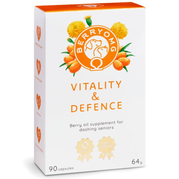 White box of BerryOMG Vitality & Defence supplement with orange text, floral and berry illustrations, and antioxidant icons. Rectangular matte-finish packaging; bold sans-serif typography. Visible text lists 90 capsules, 64g total, intended for dashing seniors. Shot is a close-up product image on a plain background. No people or hands shown.