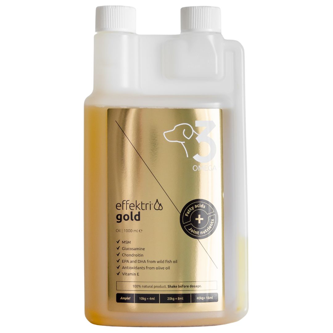 Effektri Gold Dog Omega-3; pullo Effekttri Gold Omega-3 -öljyä koirille metallisen kultaisen etiketin kera, luetellen MSM:n, glukosamiinin, kondroitiinin, kalaöljyn ja vitamiinit; kaksiosastoinen muovipullo mattavalkoisella korkilla; musta groteskiteksti painettuna etikettiin; ei ihmisiä tai käsiä kuvassa, tuote kuvattu pystyssä valkoisella taustalla.