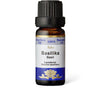 A small brown bottle with a black cap labeled Aito Basilika Basil. The label states 100% essential oil and lists the ingredient as Ocimum basilicum. The bottle is cylindrical glass with a glossy finish, and the cap is plastic. Label design includes blue and white blocks, clear sans-serif text, and an illustration of green basil leaves. Background is plain white.