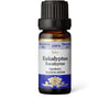 A small brown bottle labeled Eukalyptus Eucalyptus, 100% essential oil, features ingredients listed as Eucalyptus globulus. The bottle has a cylindrical shape with a black plastic screw cap and a matte finish. The blue and white label includes both serif and sans-serif typography plus a stylized flower illustration. The background is plain white with no visible setting or people in the frame.