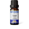 A brown glass bottle with a black cap labeled Aito Kataja Juniper Essential Oil. The cylindrical bottle has a matte surface. The label uses blue and white colors, includes a stylized flower illustration, and displays sans-serif type. Ingredients list includes Juniperus communis. The product is photographed upright against a plain white background with no people visible.