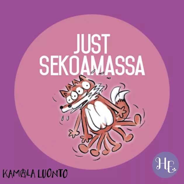 Hidasta Elämää Meni tunteisiin -tarrat; kuvitettu, hätääntynyt ja hikoileva kettu suomenkielisen tekstin "Just Sekoamassa" kera violetilla taustalla; kaksi logoa alaosassa: "Kamola Luonto" ja "HE"; lihavoitu groteskifontti kaikessa tekstissä; ei ihmisiä tai käsiä; mattapintainen digitaalinen kuvitus ilman pakkausta.