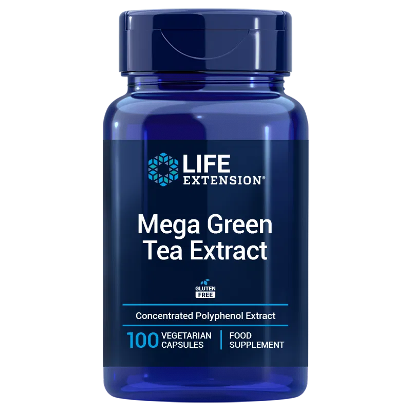 Life Extension Mega Green Tea Extract; sininen sylinterinmuotoinen muovipullo kiiltäväpinnalla, sisältää 100 kasviskapselia tiivistettyä polyfenoliuutetta voimakkain antioksidantein; etiketissä gluteenittomuus- ja ravintolisätietoa groteskitekstillä; pullossa kierrekorkki, kuvattu yksivärisellä taustalla keskitettynä.