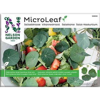 Nelson Micro Leaf Vihanneskrassi-Nelson Garden-Hyvinvoinnin Tavaratalo