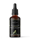 A brown glass dropper bottle with a shiny black and gold-trimmed label is shown upright. The label features plant illustrations and the text: NORDICURE JAPANINTATAR JAPANESE KNOTWEED (Polygonum cuspidatum). Serif and sans-serif fonts are used. No people or hands appear. The background is plain white.