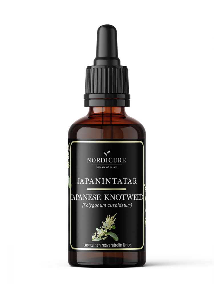 A brown glass dropper bottle with a shiny black and gold-trimmed label is shown upright. The label features plant illustrations and the text: NORDICURE JAPANINTATAR JAPANESE KNOTWEED (Polygonum cuspidatum). Serif and sans-serif fonts are used. No people or hands appear. The background is plain white.