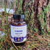 A glass bottle labeled Pinena Elinvoima sits on the forest ground near a mossy tree trunk, surrounded by earthy grass, twigs, and fallen leaves. The bottle is clear with a cylindrical shape and a round cap, features glossy transparent glass, and displays white modern sans-serif text on the label. No people or hands are present in this outdoor close-up shot.