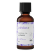 puhdis+ lavender essential oil -pullo, ruskea lasipullo mattamustalla kierrekorkilla ja suorakulmaisella violetilla etiketillä; etiketissä valkoista tekstiä, yksinkertaisia laventelikuvituksia ja tuotetietoa tekstausvapaalla fontilla; tausta valkoinen; ei ihmisiä tai käsiä näkyvissä; kuva otettu edestä ja keskitettynä.