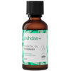puhdas+ Essential Oil Rosemary -pullo, ruskea lasipullo sileällä kiiltäväpinnalla ja sylinterimäisellä muodolla; musta kierrekorkki; valkoisessa etiketissä lukee "puhdas+ Essential Oil Rosemary" ja vihreitä lehtikuvituksia; pullo sisältää 50 ml, ilmoitettu etiketissä; tuote kuvattu yksinään yksinkertaista taustaa vasten, ei ihmisiä tai käsiä näkyvissä.