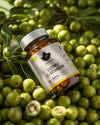 A bottle of Puhdistamo Luomu C-Vitamin capsules sits on whole and halved fresh green amla berries, with green leaves behind them. The bottle is cylindrical, made of amber plastic with a matte finish, and has a black screw cap. The label is white with modern sans-serif type in black and green. No people or hands are shown. Wide shot, tabletop setting. A bottle of Puhdistamo Luomu C-Vitamin capsules rests on a bed of fresh green amla berries, some whole and some sliced open, with green leaves in the