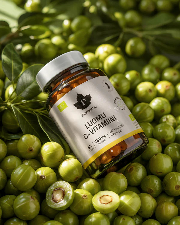 A bottle of Puhdistamo Luomu C-Vitamin capsules sits on whole and halved fresh green amla berries, with green leaves behind them. The bottle is cylindrical, made of amber plastic with a matte finish, and has a black screw cap. The label is white with modern sans-serif type in black and green. No people or hands are shown. Wide shot, tabletop setting. A bottle of Puhdistamo Luomu C-Vitamin capsules rests on a bed of fresh green amla berries, some whole and some sliced open, with green leaves in the