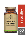 Solgar Green Tea Leaf Extract -pullo, ruskea lasi, matta kultainen kierrekorkki; punainen "Speciality"-laatikko oikealla, beige etiketti antiikva- ja groteskitekstein, Camellia sinensis mainittu, 60 kapselia