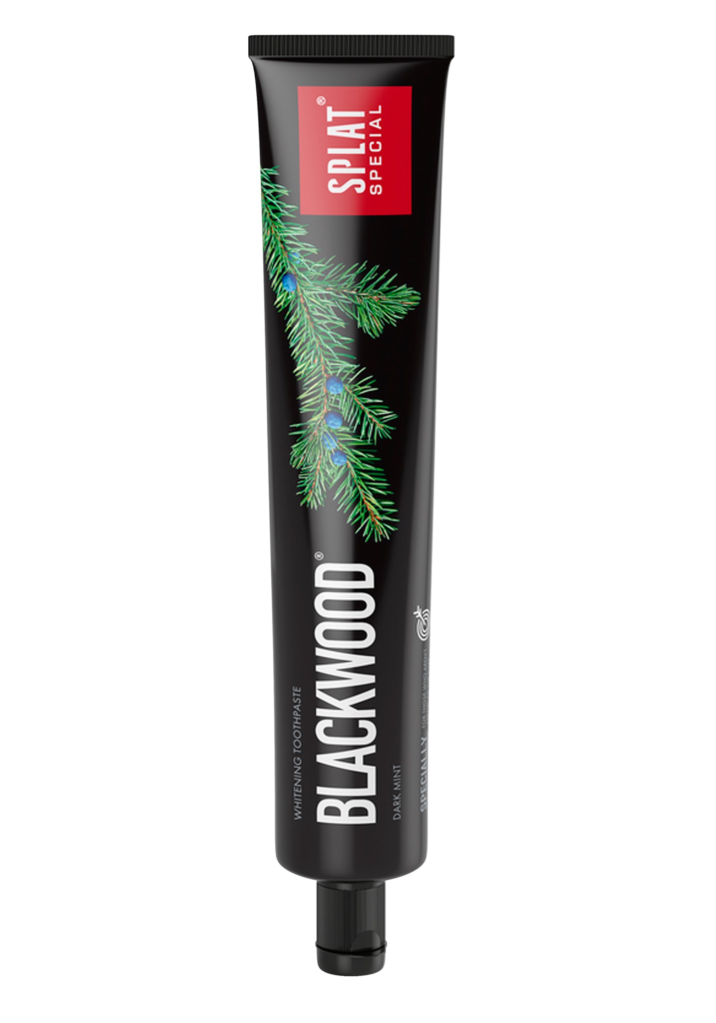 Musta Splat Special Blackwood -hammastahnatuubi