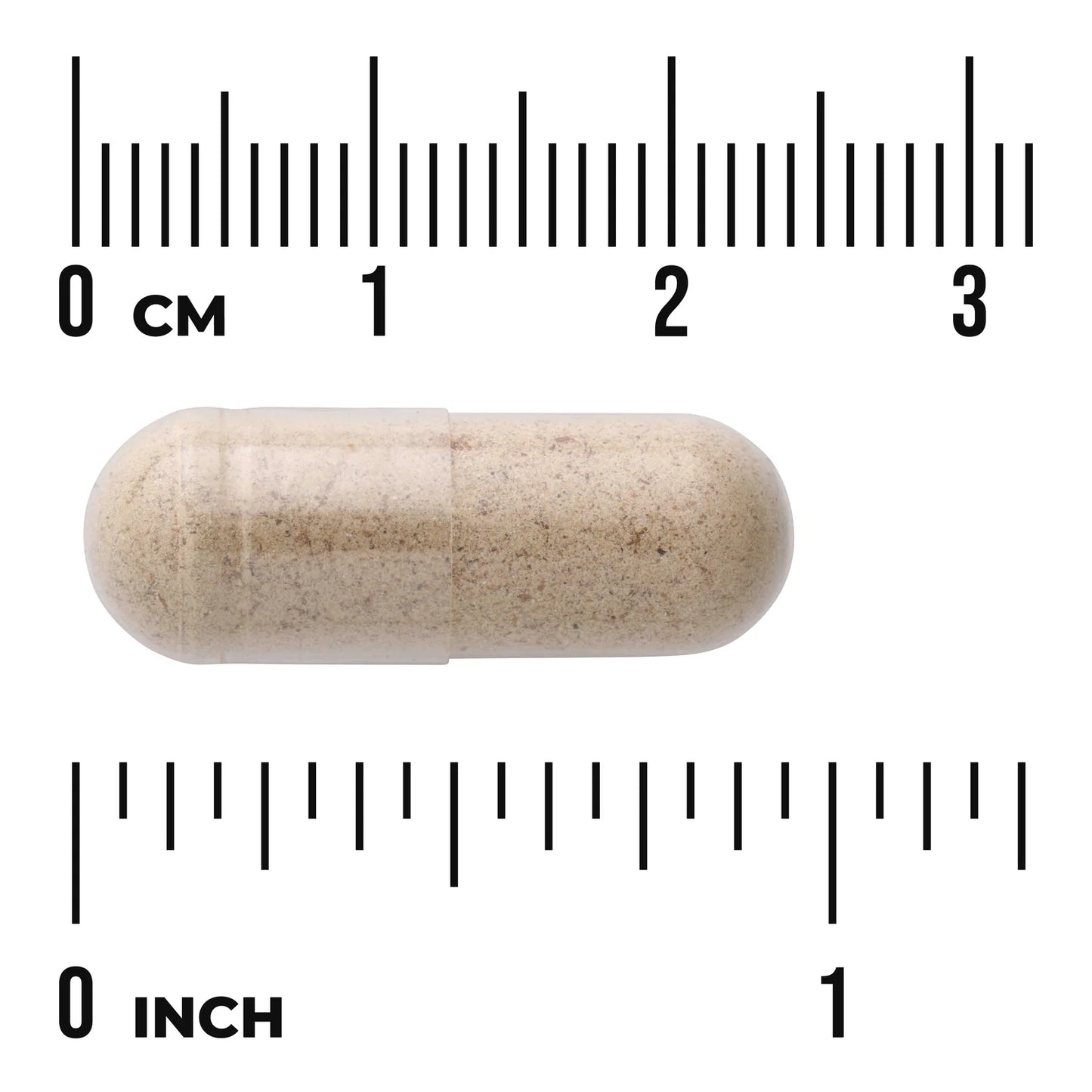 Swanson Milk Thistle 500 mg; ruskehtava kapselipilleri aseteltu kahden viivaimen väliin, mittaa noin 2,5 senttimetriä eli 1 tuuman; kapselissa sileä matta pinta ja soikea pitkänomainen muoto ilman näkyviä merkintöjä tai tekstiä; viivaimet kirkasta muovia sentti- ja tuumaasteikoin; tausta yhtenäisen valkoinen, kuva otettu suoraan ylhäältä; ei ihmisiä tai käsiä.