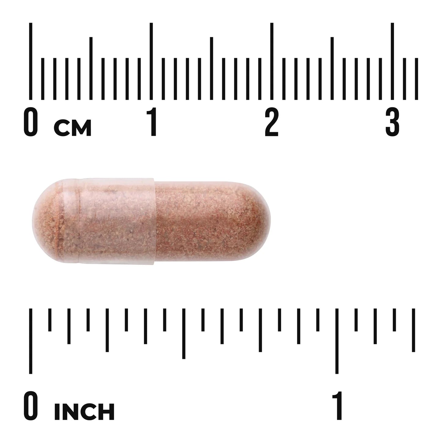 Swanson Pine Bark Extract 50 mg; ruskea liivatekapseli näkyvin jauheen jäljin sijoitettuna keskelle tasaista pintaa; metriset ja imperiaaliset viivaimet rinnakkain reunustavat kapselia pituussuunnassa, näyttäen mitan noin 2,2 senttimetriä eli hieman alle 1 tuuman; ei pakkausta, etikettejä tai tekstiä näkyvissä; tausta neutraali ja pelkistetty; ei ihmisiä tai käsiä.