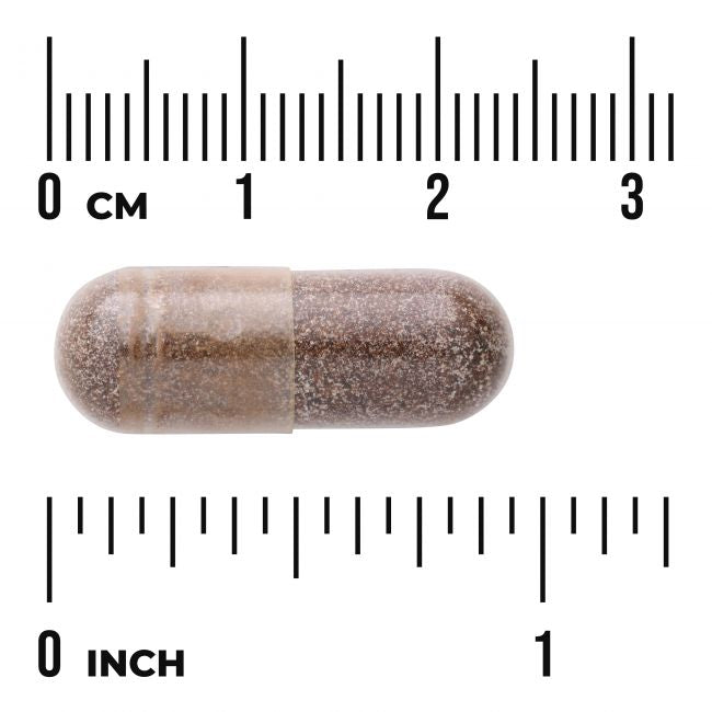 Ruskea kapseli on aseteltu metrisen ja tuumamitallisen viivaimen väliin, mikä osoittaa sen olevan noin 2 cm eli 0,75 tuumaa pitkä. Kapselin pinta on sileä ja kiiltävä, muoto pitkulainen ja soikea, ilman näkyvää tekstiä tai merkintöjä. Molemmat viivaimet ovat litteitä ja metallisia, kaiverretuin mustin merkinnöin ja numeroin. Tausta on yksivärinen valkoinen. Pakkausta tai ihmisiä ei näy kuvassa.