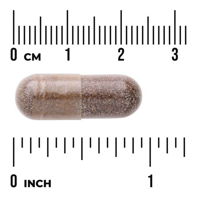 Ruskea kapseli on aseteltu metrisen ja tuumamitallisen viivaimen väliin, mikä osoittaa sen olevan noin 2 cm eli 0,75 tuumaa pitkä. Kapselin pinta on sileä ja kiiltävä, muoto pitkulainen ja soikea, ilman näkyvää tekstiä tai merkintöjä. Molemmat viivaimet ovat litteitä ja metallisia, kaiverretuin mustin merkinnöin ja numeroin. Tausta on yksivärinen valkoinen. Pakkausta tai ihmisiä ei näy kuvassa.