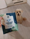 Henkilö pitelee suorakaiteen muotoista, mattapintaista pussia, jossa lukee Tassu Foods groteskikirjasimella; pussi valkoinen yksinkertaisin, minimalistisin grafiikoin; pieni kihartukkainen koira istuu vaalealla keittiön lattialla katsoen henkilöä ylöspäin; taustalla vaaleaa kalustusta ja lattiaa; keskikokoinen kuva näyttää sekä tuotteen että vuorovaikutuksen selkeästi.