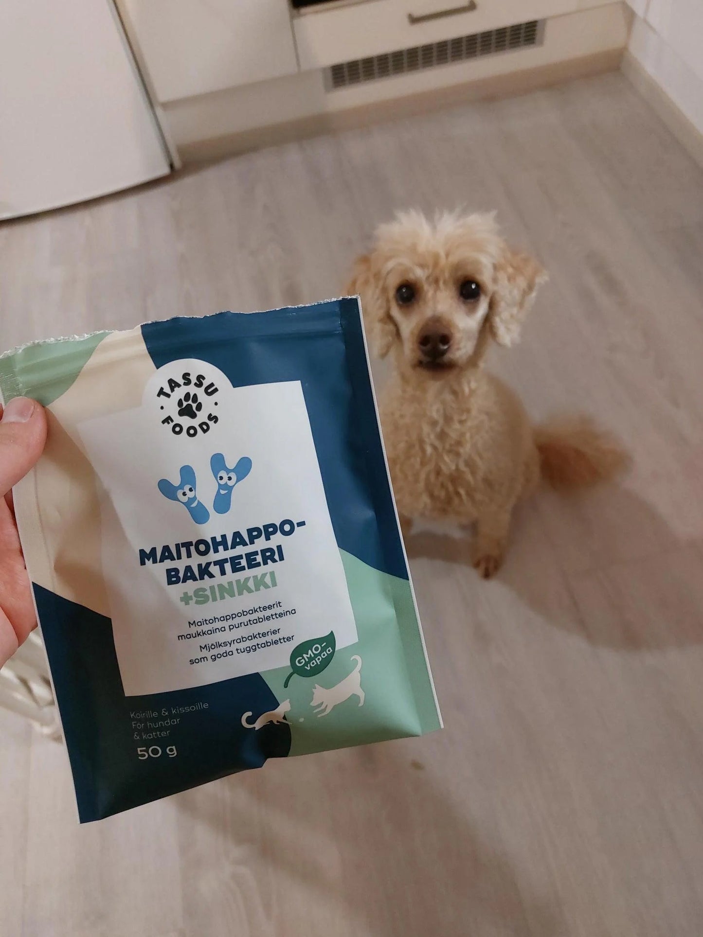 Henkilö pitelee suorakaiteen muotoista, mattapintaista pussia, jossa lukee Tassu Foods groteskikirjasimella; pussi valkoinen yksinkertaisin, minimalistisin grafiikoin; pieni kihartukkainen koira istuu vaalealla keittiön lattialla katsoen henkilöä ylöspäin; taustalla vaaleaa kalustusta ja lattiaa; keskikokoinen kuva näyttää sekä tuotteen että vuorovaikutuksen selkeästi.