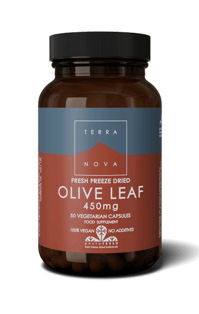 Terranova Oliivinlehti 450 mg; ruskea pullo tekstillä "Terra Nova Fresh Freeze Dried Olive Leaf 450mg", sisältää 50 kasviskapselia; etiketissä maininta 100-prosenttisesta vegaanisuudesta ja lisäaineettomuudesta; lieriömäinen astia mattapinnalla, etiketti groteskitekstiä ja lohkokirjasinta tuotenimelle ja annostukselle; ei ihmisiä tai käsiä; tausta tasaisen vaaleanharmaa, suoraan edestä kuvattu.