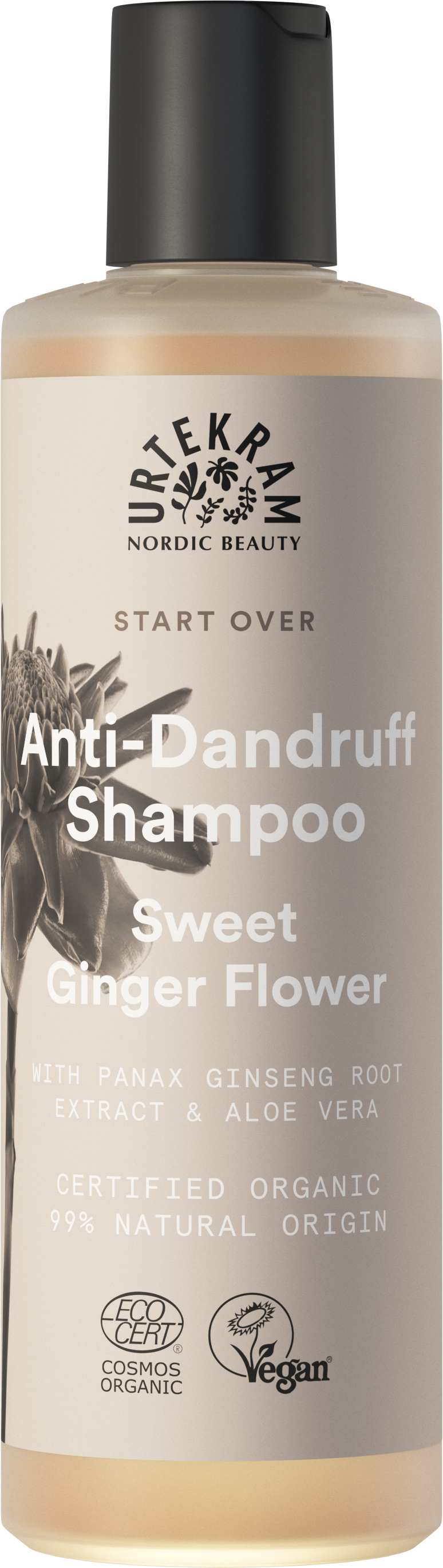 Urtekram Start Over Sweet Ginger Anti-Dandruff Shampoo, pullo hilseenvastaiselle shampoolle makean inkiväärikukan tuoksulla, sisältää vegaani- ja luomusertifikaatit sekä ainesosia kuten panax-ginsengjuuriuutetta ja aloe veraa, lisäksi beige korkki; pullo sylinterimäinen mattapinnalla; etiketti moderni groteskityppografia valkoisena oranssinruskealla pohjalla; ei ihmisiä eikä käsiä näkyvissä; kuvattu valkoista taustaa vasten keskitettynä.