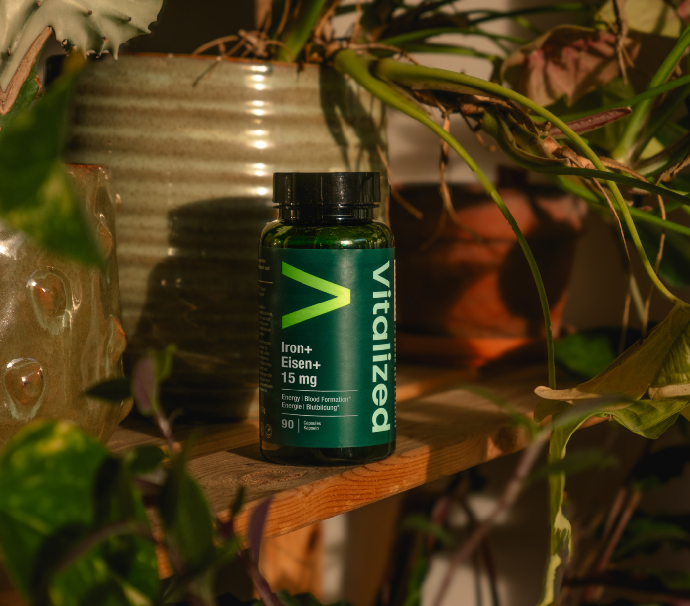 Vitalized Iron+ / Eisen+ 15 mg; pullo VITALIZED Iron+ Eisen+ 15 mg -ravintolisää seisoo puuhyllyllä vihreiden kasvien ja keraamisten ruukkujen ympäröimänä, auringonvalo luo varjoja ja elävöittää kohtausta; pullo lieriömäinen valkoisella mattapintaisella kannella, etiketissä luettavissa brändinimi ja tuotetiedot; etiketin tausta näyttää vaaleansiniselta; ei ihmisiä tai käsiä kuvassa.