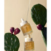Whamisa Cactus Wrinkle & Brightening Magic Serum; kaksi lasista tippapulloa kultaisensävyistä seerumia, toinen tiputtaen toiseen, pinottuna vihreän piikkiviikunakaktuksen eteen, jossa violetteja hedelmiä, beigetaustaa vasten; molemmat pullot lieriömäisiä ja läpinäkyviä, kiiltäväpintaisia, kultaväriset tipoittimet; ei näkyvää typografiaa tai etikettitekstiä; kuvassa vain tuotteet ja kaktus, ei ihmisiä tai käsiä.