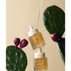 Whamisa Cactus Wrinkle & Brightening Magic Serum; kaksi lasista tippapulloa kultaisensävyistä seerumia, toinen tiputtaen toiseen, pinottuna vihreän piikkiviikunakaktuksen eteen, jossa violetteja hedelmiä, beigetaustaa vasten; molemmat pullot lieriömäisiä ja läpinäkyviä, kiiltäväpintaisia, kultaväriset tipoittimet; ei näkyvää typografiaa tai etikettitekstiä; kuvassa vain tuotteet ja kaktus, ei ihmisiä tai käsiä.