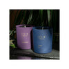 Two candles in matte-finish glass jars, one purple and one blue. Both jars are cylindrical and have white rectangular labels with black sans-serif text reading JOIK Home & Spa, La Bohème on the purple jar and Night 69 on the blue jar. The candles are placed side by side on a dark, flat surface with leafy green plants distinctly visible in the background. No people or hands present.