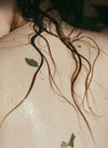 Wet, wavy strands of brown hair and a few small green leaves rest on a person’s bare, glistening back. No product is packaged or labeled. The background and setting are not visible; the shot is cropped closely to focus on the back and hair. No hands or additional props are present in the image.