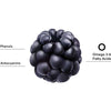 Lähikuva karhunvatukasta merkintöineen: "Phenols", "Antocyanins" ja "Omega 3-6 Fatty Acids"; tummanvioletti kiiltäväpintainen hedelmä, valkoinen tausta, groteskiteksti