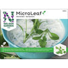 Nelson Micro Leaf Korianteri; pussi Nelson Gardenin MicroLeaf-korianterinsiemeniä kiiltäväpinnalla, suorakulmainen ja pääosin vihreä suunnittelu; etuosassa kulho valkoista kastiketta hienonnettujen yrttien kera muutaman tuoreen korianterinlehden vierellä; useita kieliä käytetty selkeällä groteskityypillä; tausta yhtenäisen valkoinen; ei ihmisiä tai käsiä näkyvissä kuvassa.