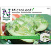 Nelson Micro Leaf Sareptansinappi; MicroLeaf-sinapinversoja kasvamassa halkaistun avokadon päällä, koristeltuna puutarhatuoreilla vihreillä lisukkeilla, taidokkaasti aseteltuna lautaselle eloisien viipaloitujen vihannesten kera; lautanen valkoinen, pyöreä ja mattapintainen; siemenpussin brändaus ja kasvitiedot näkyvissä selkeällä groteskitypografialla; neutraali tausta, ylhäältä kuvattu, ei ihmisiä tai käsiä.